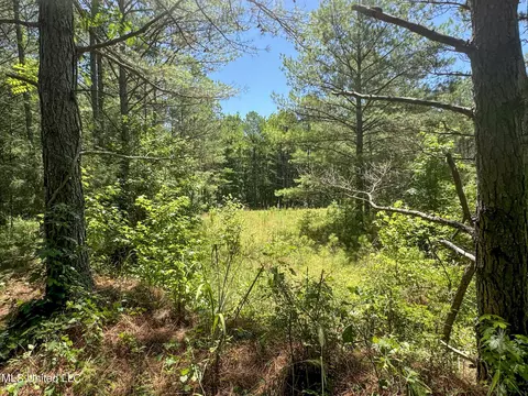 1575 State Park Rd, Sardis, MS 38666 photo 32