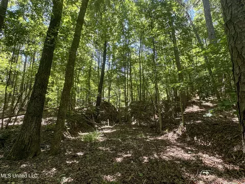 1575 State Park Rd, Sardis, MS 38666 photo 45