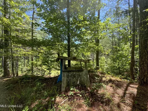 1575 State Park Rd, Sardis, MS 38666 photo 28