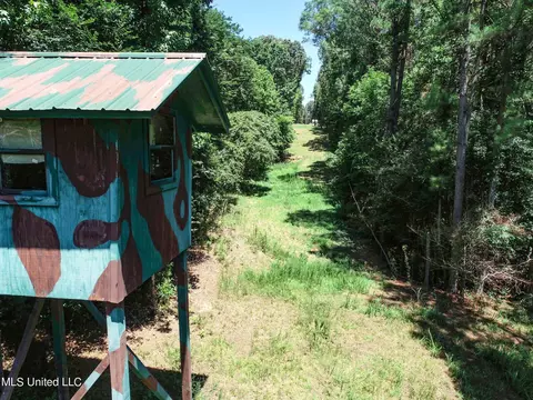 1575 State Park Rd, Sardis, MS 38666 photo 15