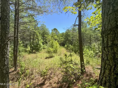 1575 State Park Rd, Sardis, MS 38666 photo 30