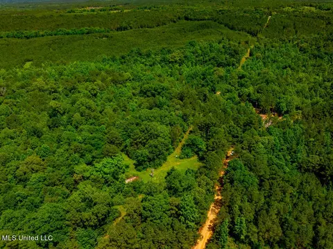 99 County Rd 3221, West, MS 39192 photo 8