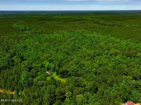 99 County Rd 3221, West, MS 39192 photo 19