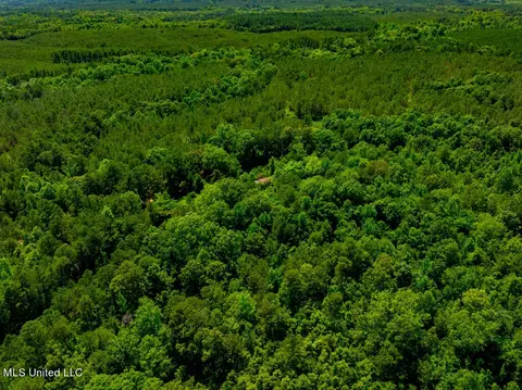 99 County Rd 3221, West, MS 39192 photo 15