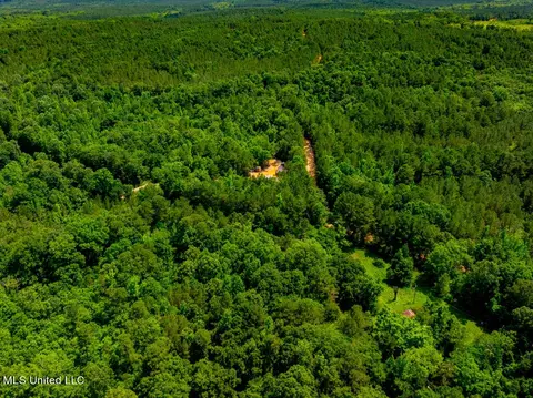 99 County Rd 3221, West, MS 39192 photo 17