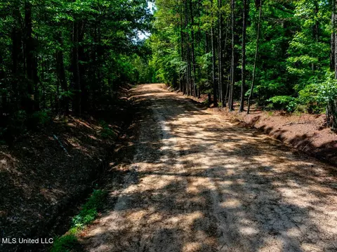 99 County Rd 3221, West, MS 39192 photo 5