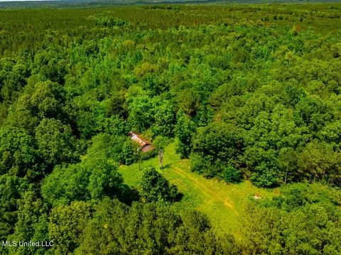 99 County Rd 3221, West, MS 39192 photo 4