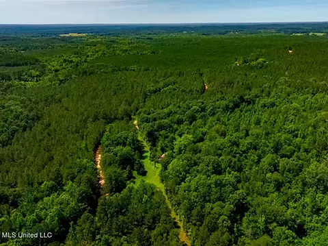 99 County Rd 3221, West, MS 39192 photo 20