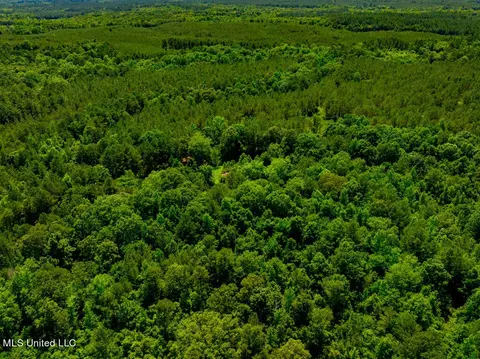 99 County Rd 3221, West, MS 39192 photo 16