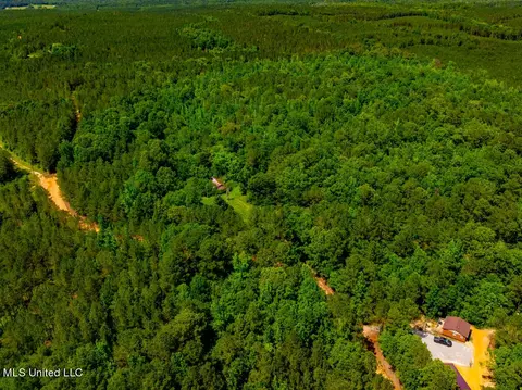 99 County Rd 3221, West, MS 39192 photo 11