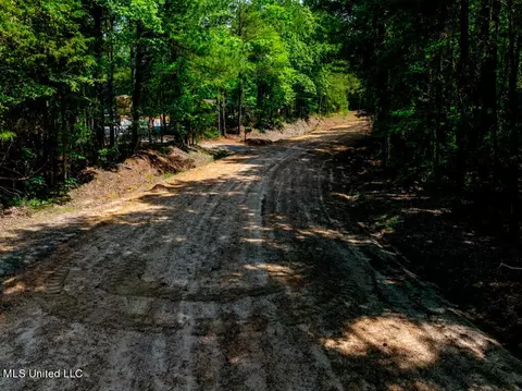 99 County Rd 3221, West, MS 39192 photo 6