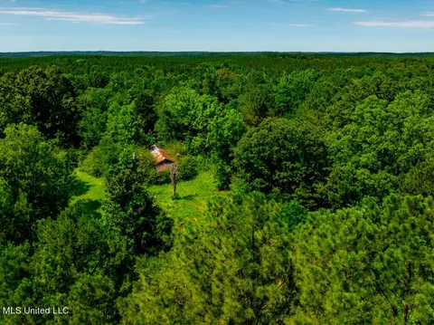 99 County Rd 3221, West, MS 39192 photo 3