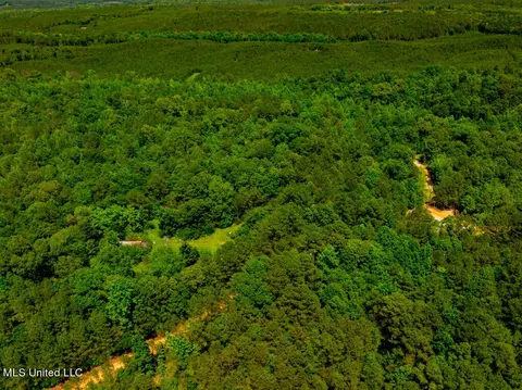 99 County Rd 3221, West, MS 39192 photo 9