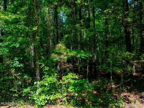 99 County Rd 3221, West, MS 39192 photo 7