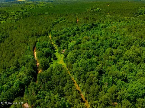 99 County Rd 3221, West, MS 39192 photo 13