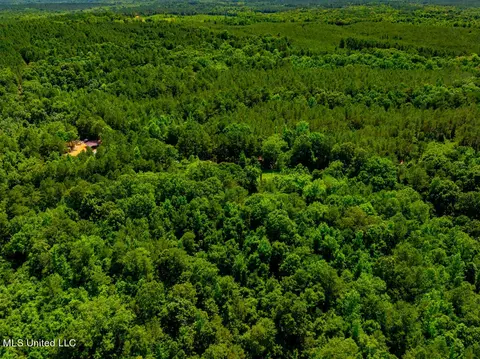 99 County Rd 3221, West, MS 39192 photo 18