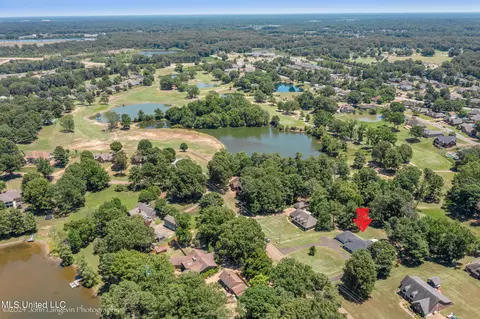 View/Area - 920 W Green T Lk, Hernando, MS 38632 photo 2 of 5