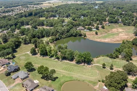 View/Area - 920 W Green T Lk, Hernando, MS 38632 photo 5 of 5