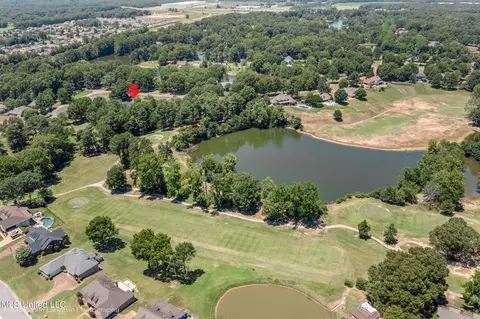 View/Area - 920 W Green T Lk, Hernando, MS 38632 photo 4 of 5
