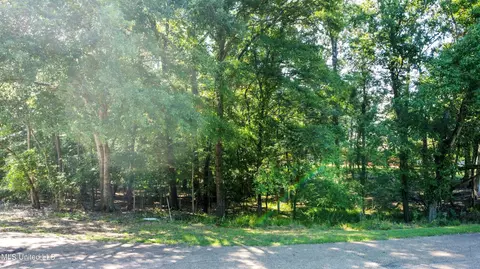 0 Greenwing Cv, Clinton, MS 39056 photo 2