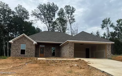 223 Hemingway Cir, Canton, MS 39046 photo 1