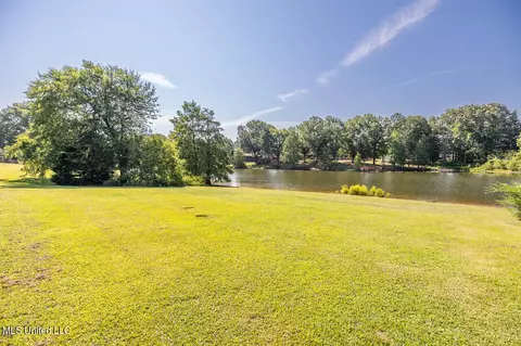 431 Pedigree Cv, Hernando, MS 38632 photo 9
