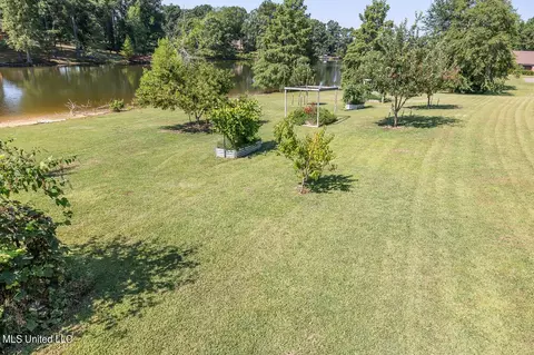 431 Pedigree Cv, Hernando, MS 38632 photo 38
