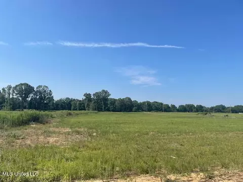5233 Crick Ln, Hernando, MS 38632 photo 2