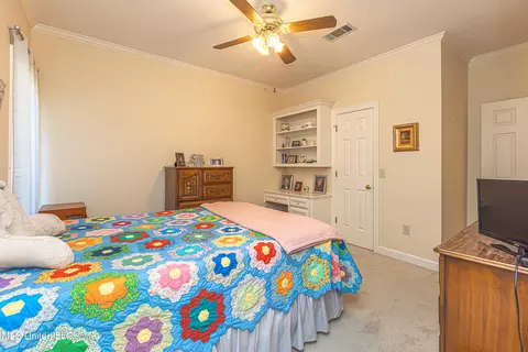 45 Redbud Ln, Madison, MS 39110 photo 35