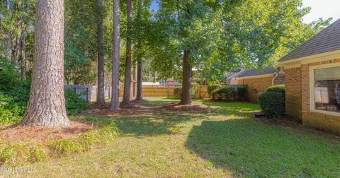 45 Redbud Ln, Madison, MS 39110 photo 41