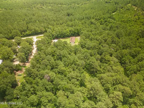 316 New Hope Rd, Wiggins, MS 39577 photo 29
