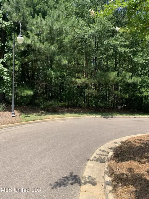927 Montrose Dr, Ridgeland, MS 39157