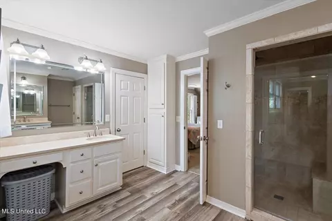 Bath - 45 Moss Forest Cir, Jackson, MS 39211 photo 2 of 5