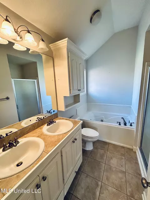 Bath - 420 Spring Hill Pt, Brandon, MS 39047 photo 1 of 3