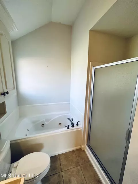 Bath - 420 Spring Hill Pt, Brandon, MS 39047 photo 2 of 3