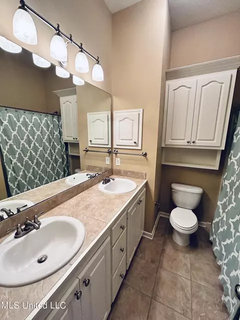 Bath - 420 Spring Hill Pt, Brandon, MS 39047 photo 3 of 3