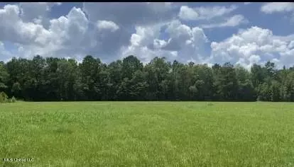 2697 River Rd, Silver Creek, MS 39663