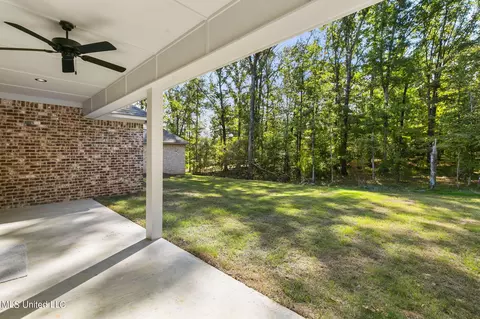 312 Celadon Way, Brandon, MS 39042 photo 51