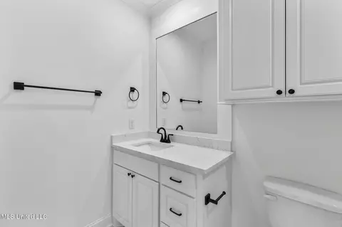 312 Celadon Way, Brandon, MS 39042 photo 42