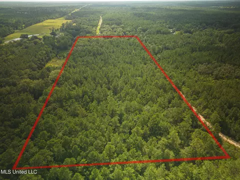 20110 Borzik Rd, Saucier, MS 39574 photo 3