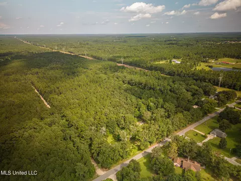 20110 Borzik Rd, Saucier, MS 39574 photo 2