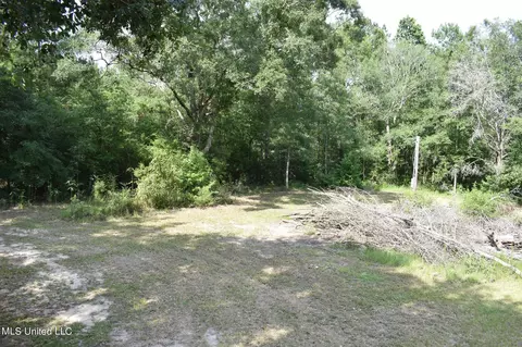 20110 Borzik Rd, Saucier, MS 39574 photo 6