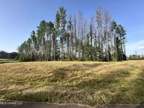 00 Honey Oak Cir, Brandon, MS 39047