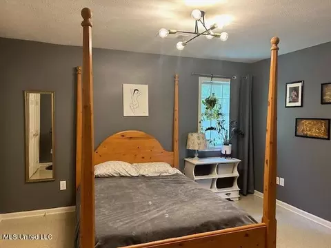 Bedroom - 127 Lincoln Place Pl, Jackson, MS 39213 photo 2 of 4