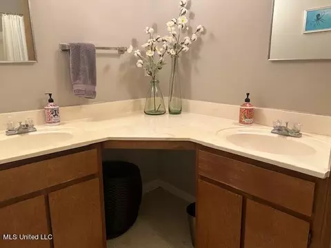 Bath - 127 Lincoln Place Pl, Jackson, MS 39213 photo 1 of 2