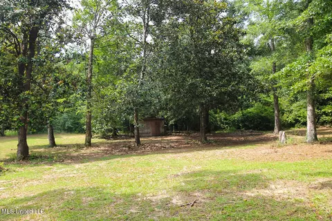165 Tom Jones Rd, Lucedale, MS 39452 photo 41