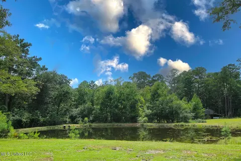 165 Tom Jones Rd, Lucedale, MS 39452 photo 3