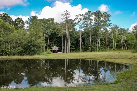 165 Tom Jones Rd, Lucedale, MS 39452 photo 40