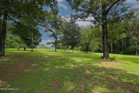 165 Tom Jones Rd, Lucedale, MS 39452 photo 46