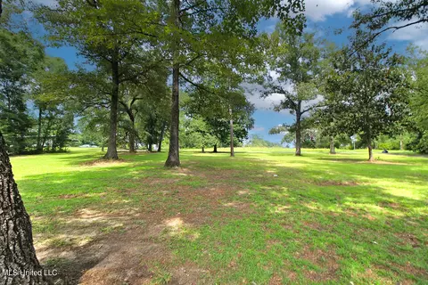 165 Tom Jones Rd, Lucedale, MS 39452 photo 4
